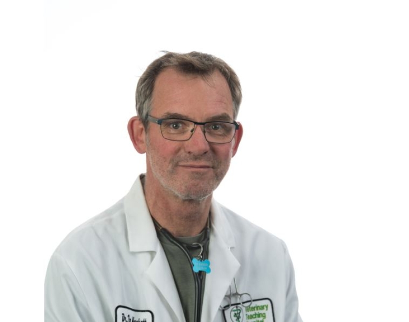 Dr. Timothy Hackett appointed as next chair of the Department of Clinical Sciences Cornell